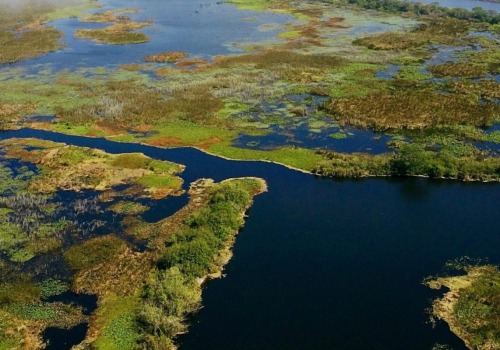 Exploring Lake Okeechobee: A Guide to Boating, Fishing, and More
